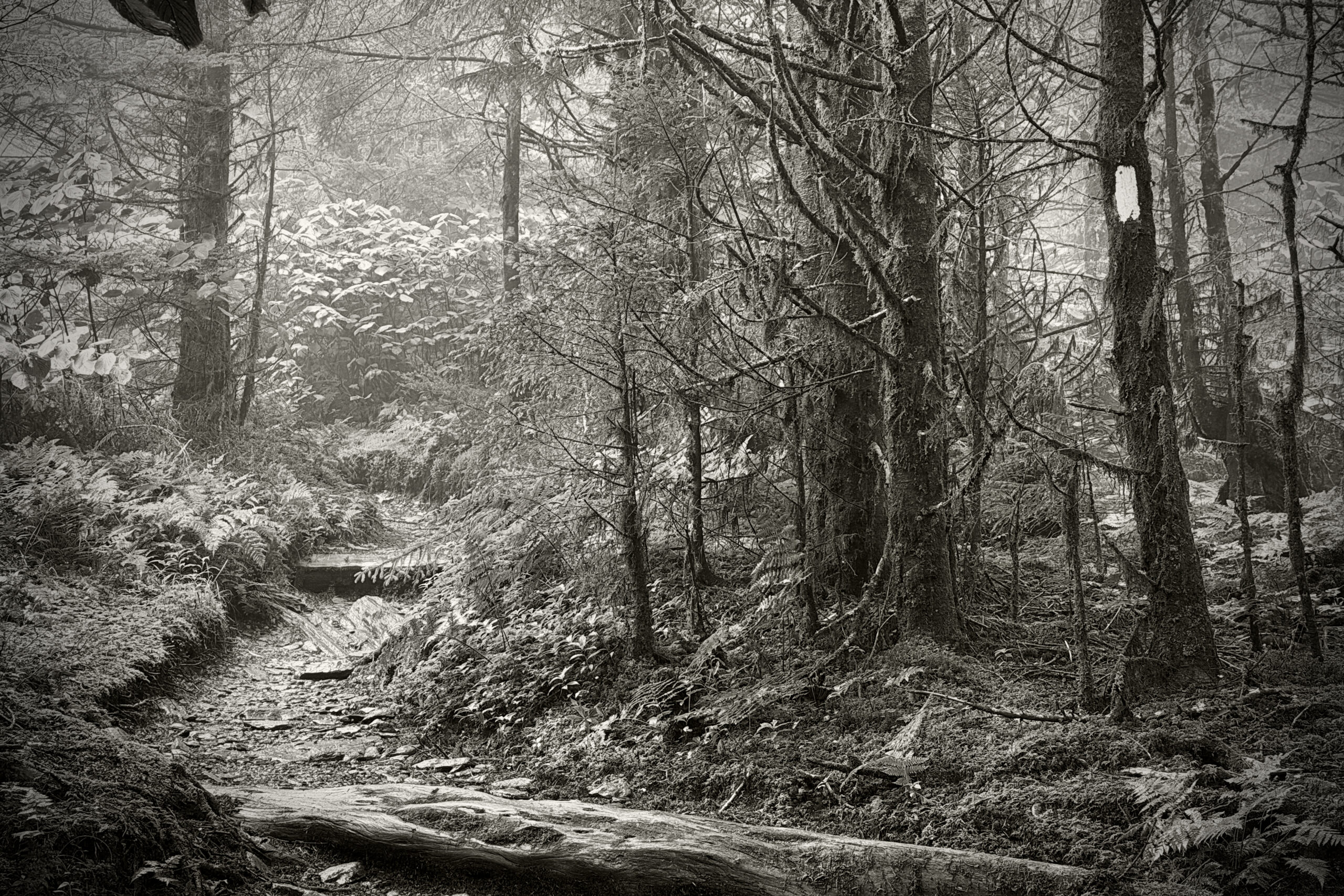 The Long Ascent