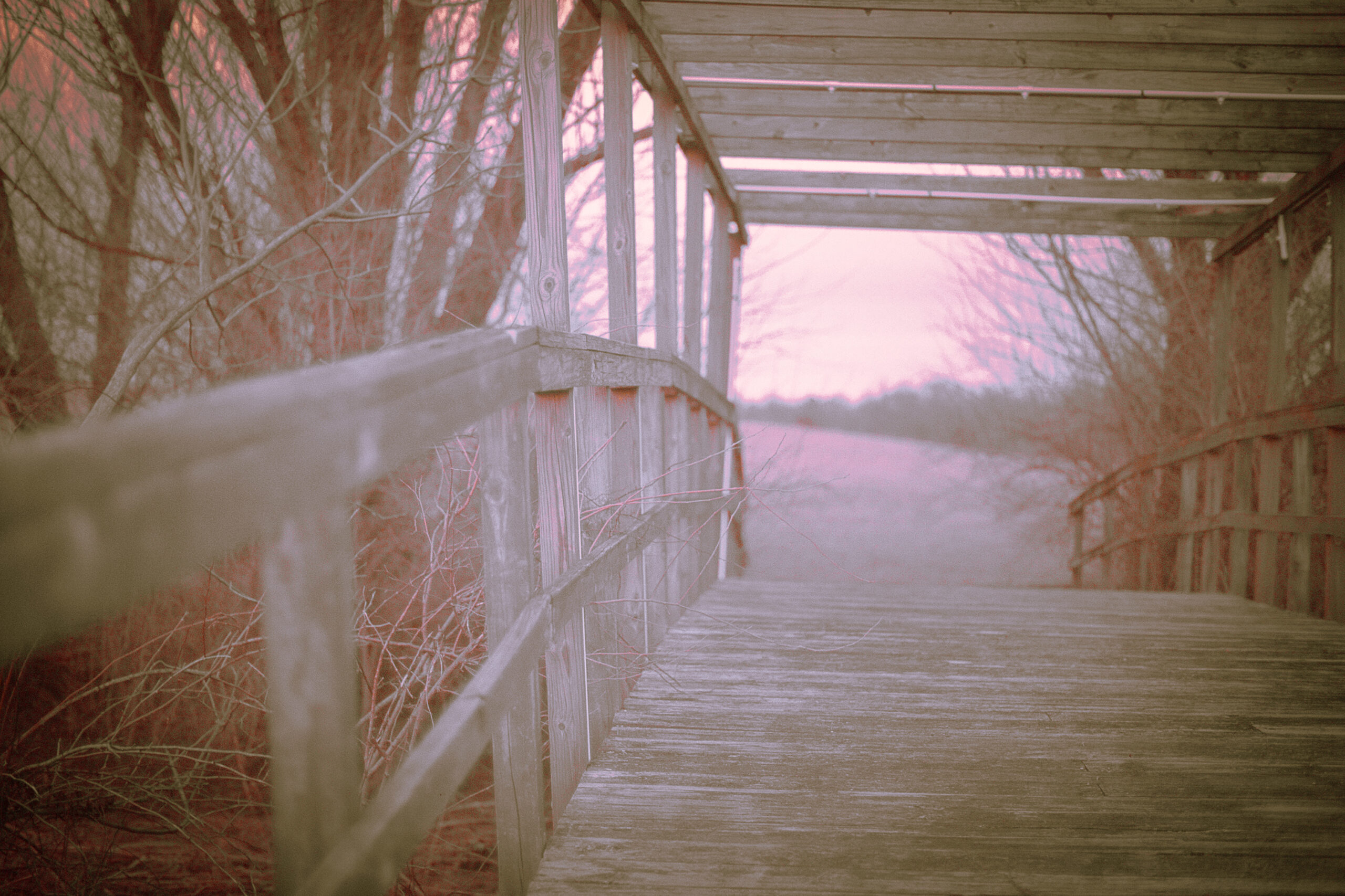 The Gift of Grief